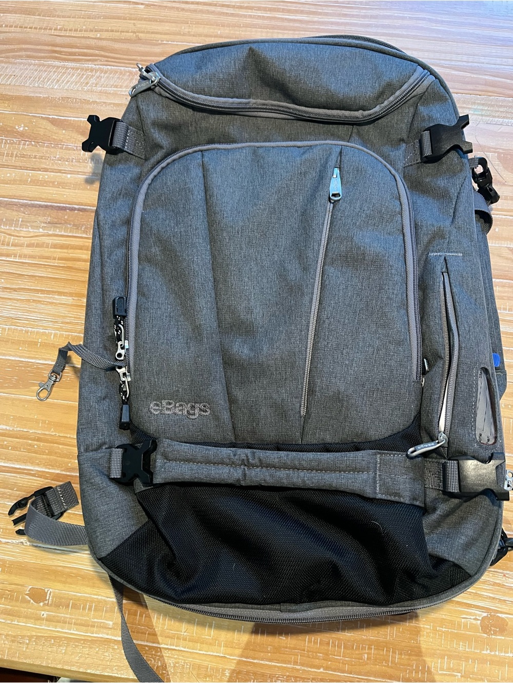 eBags Gray Travel Backpack - Men's Travel & Commuter Pack
